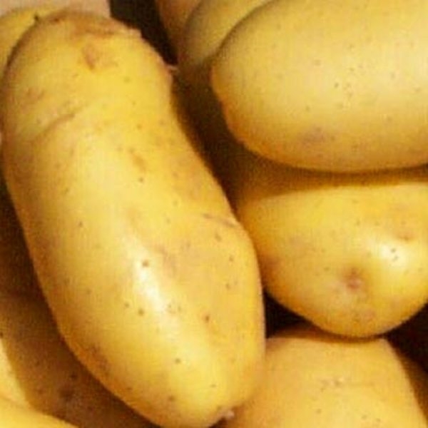 البطاطس لتبيض البشرة