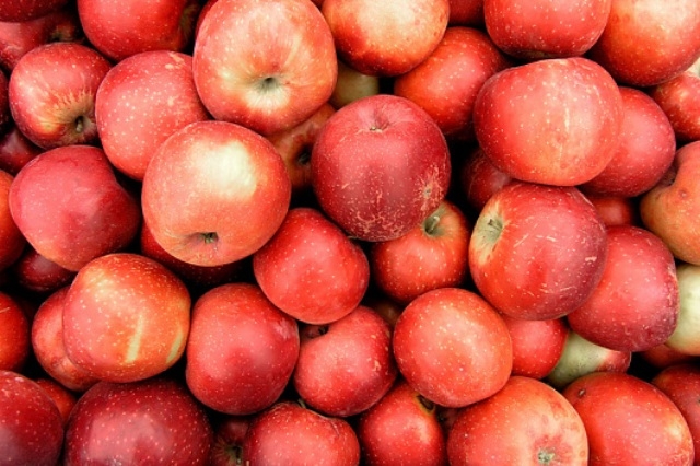 التفاح: فاكهة الجمال