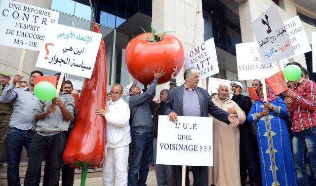 وقفة احتجاجية لمنتجي الخضر والفواكه في الرباط ضد الإجراءات الجديدة للاتحاد الأوربي