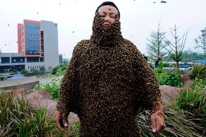 صيني يغطي جسمه بـ460 ألف نحلة... لترويج عسله