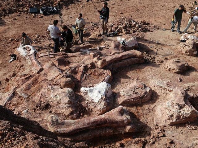 اكتشاف أكبر ديناصور في التاريخ بالأرجنتين