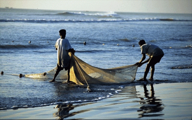 المغرب الاول عربيا وإفريقيا في صيد الأسماك وتمار البحر