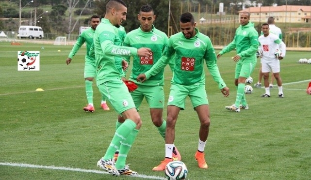 تغطية لتداريب المنتخب الجزائري