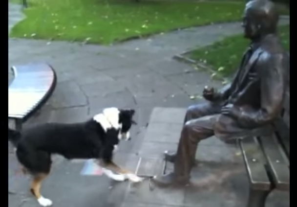 فيديو طريف..كلب لم يفهم لماذا لا يريد هذا التمثال اللعب معه