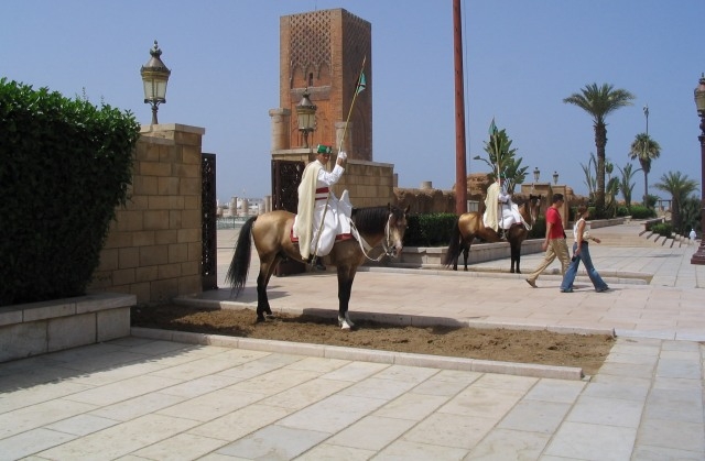 المغرب يجمع الشعراء العرب في 
