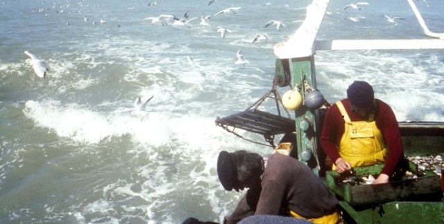 المغرب يجبر بواخر الصيد الأوروبية على الانتظار حتى شتنبر المقبل