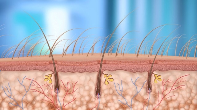 باحثون يكشفون عن هلام لإنماء الشعر