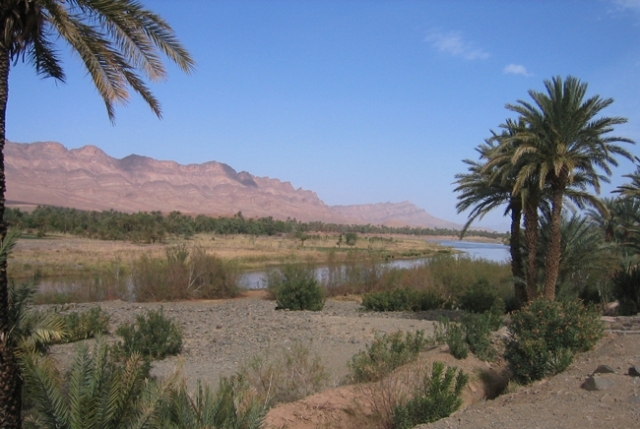وزيرة مغربية:هذه الجماعات في اقليم زاكورة منكوبة بفعل إشكالية ندرة المياه
