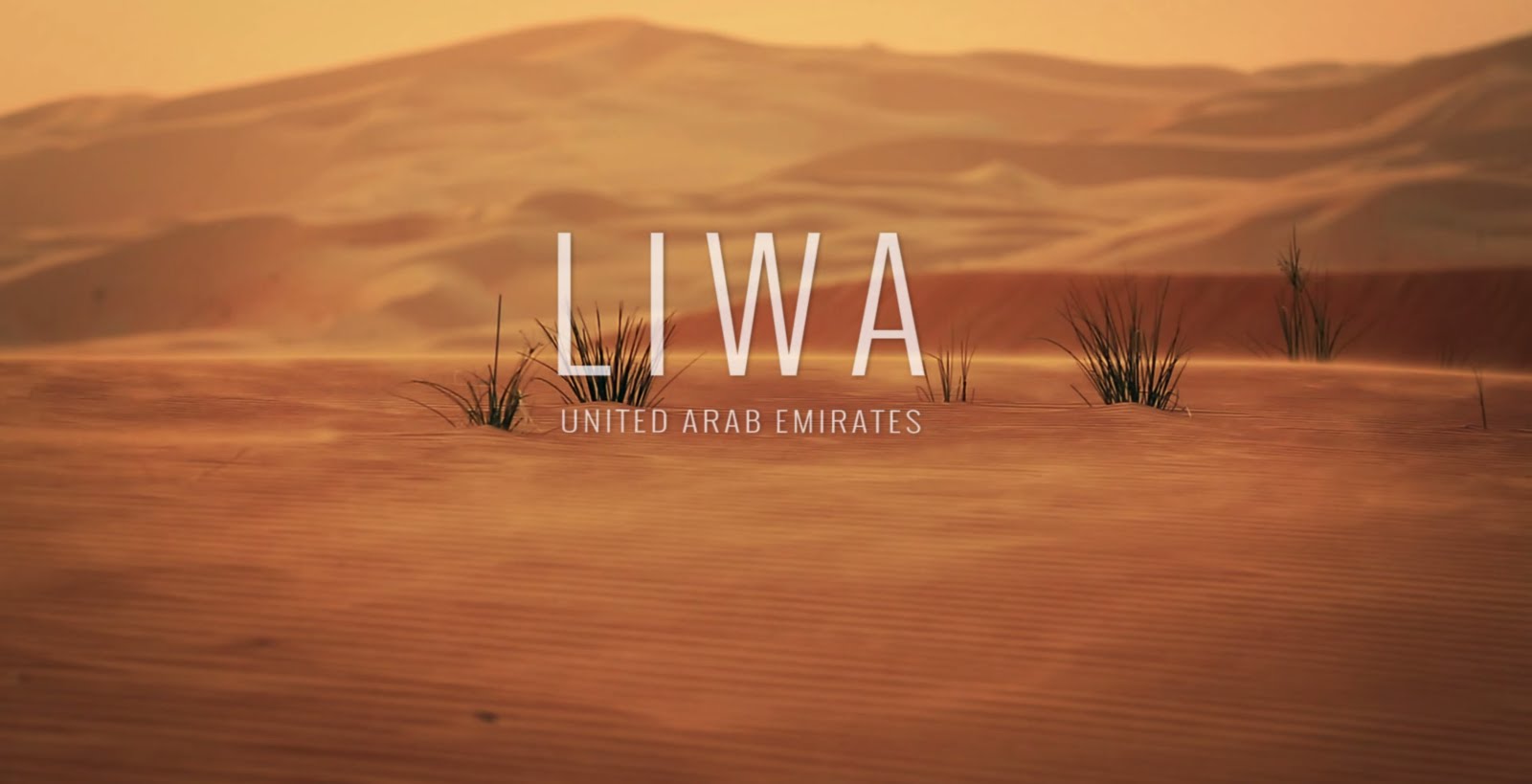 صحراء ليوا في الإمارات العربية