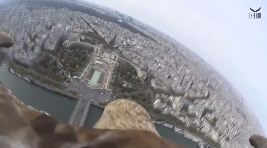 تصوير باريس من فوق بواسطة كاميرا مثبثة فوق ظهر نسر