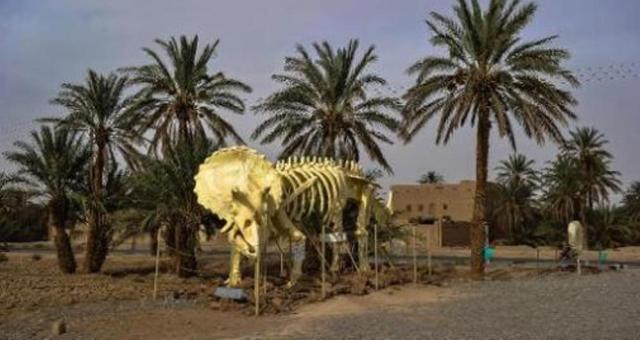 أرفود المغربية أكبر متحف مفتوح في العالم لتحف ما قبل التاريخ