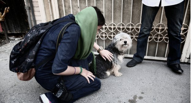 إيران: عقوبات قاسية قد تلحق بمالكي الكلاب 