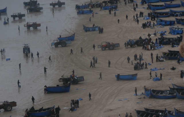 مهنيو الصيد البحري في المغرب يطالبون بإشراكهم في صياغة القوانين المتعلقة بالقطاع