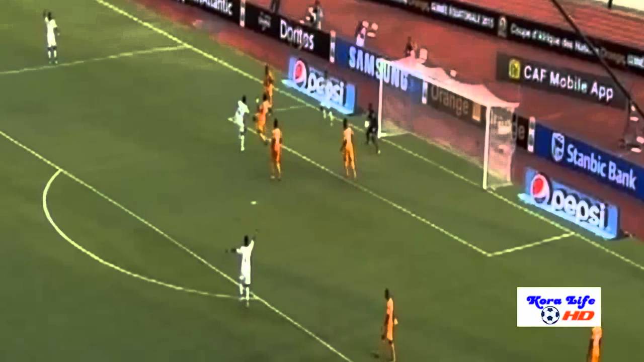 ساحل العاج وغينيا 1-1