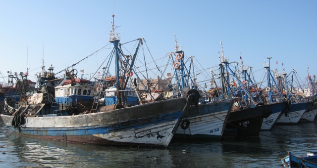 المغرب يسعى لتطوير قطاع الصيد البحري