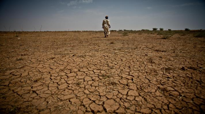 موريتانيا تتلقى 10ملايين دولار لمحاربة الجفاف