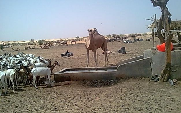 حزب معارض يُحذر من  عام الجفاف في موريتانيا