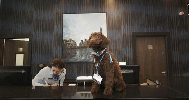 بالصور: فندق يوظف كلباً لاستقبال الزبائن