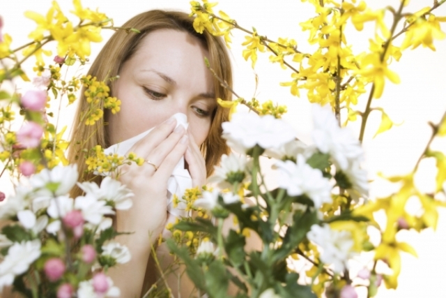 حقائق عن حساسية الربيع وكيفية علاجها