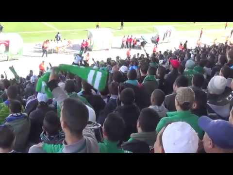 جماهير الرجاء تتغنى بالجمهور الجزائري قبل لقاء سطيف