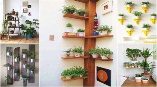 10 أفكار لعرض النباتات داخل المنزل