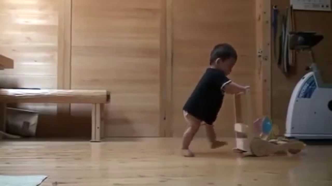 قط يعلّم طفلًا المشي