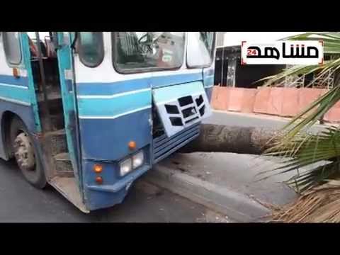 فيديو: حافلة مجنونة تصطدم بنخلة