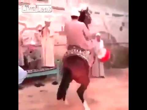 فيديو..زفة عروس على الحصان تنتهي بمصيبة!