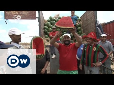 البطيخ المغربي يشهد إقبالا في أوروبا