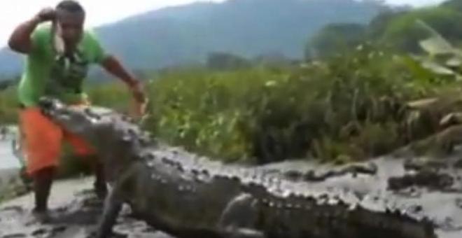 بالفيديو.. رجل يطعم تمساح في فمه بيديه!