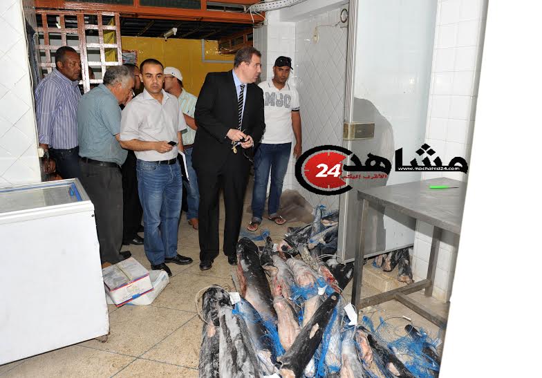حجز 3 طنّ من الأسماك الفاسدة في الدار البيضاء