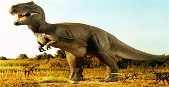 اكتشاف أسنان لأكبر ديناصور في اليابان