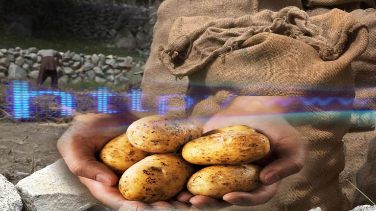 الانتقال من زراعة البطاطا الى الانترنت في بلدة جبلية بباكستان