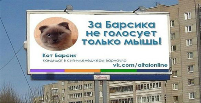 مدينة روسية ترشح قطا لمنصب العمدة