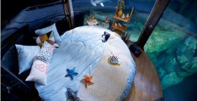 بالصور.. غرفة للنوم وسط أسماك القرش