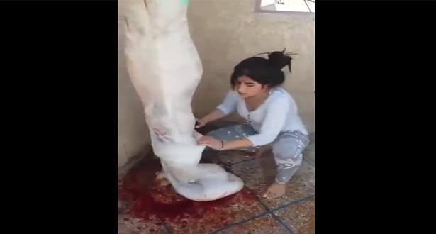 فتاة مغربية تسلخ الخروف باحترافية