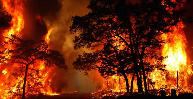 متابعة مشتبهين في حرائق الغابات والجهود متواصلة للحد من استفحال الظاهرة