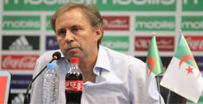 إقالة رايفاتش من تدريب المنتخب الجزائري