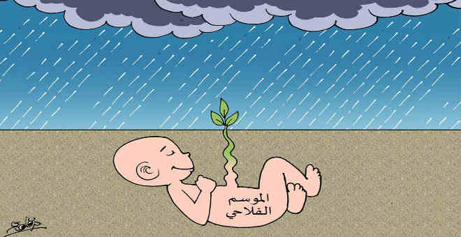 التساقطات المطرية الأخيرة هل تزيل شبح الجفاف في المغرب؟