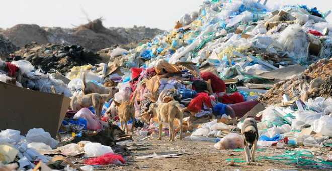 تقرير. حجم النفايات في المغرب قد يصل إلى 12 مليون طن سنة 2020