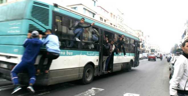 أمن البيضاء يوقف مجرما سرق قابضة تعمل في حافلة تحت التهديد بالسلاح