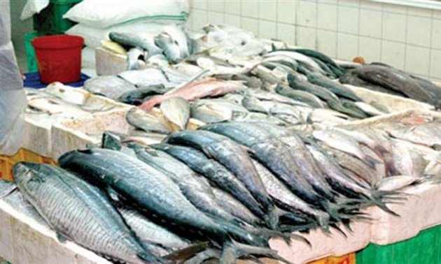تقرير أوروبي ينبه من اختفاء الأسماك في البحر المتوسط