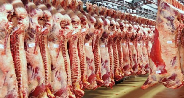 مهنيون يدعون إلى التأكد من مصدر وجودة اللحوم الحمراء قبل شرائها