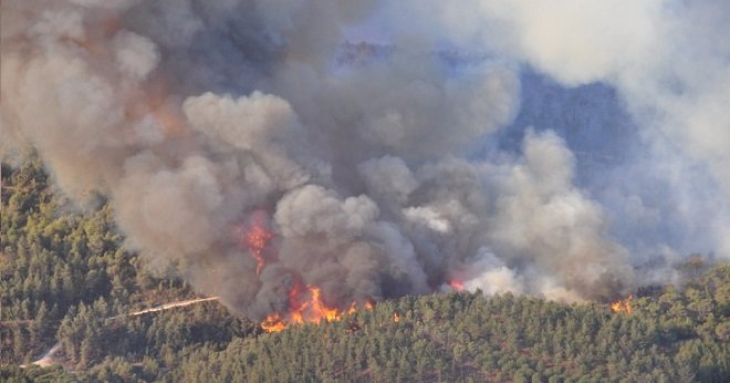 النيران تلتهم حوالي 22 هكتار من الأراضي بإقليم الخميسات