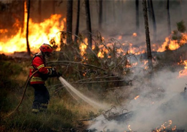 البرتغال.. حريق بغابة يسفر على مقتل 57 شخصا والحصيلة مؤهلة للارتفاع