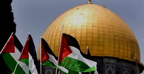مشاهير عالميون تضامنوا مع القضية الفلسطينية