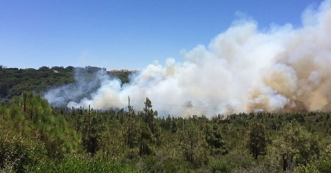 حريق غابات طنجة يخمد بعد خمسة أيام من النيران الملتهبة
