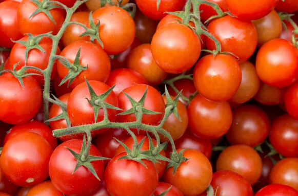 مجموعة عالمية تضع عينها على طماطم وعنب المغرب لتسويق منتجاتها