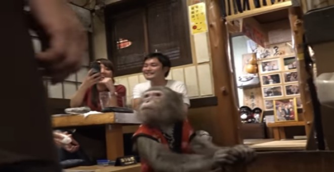 بالفيديو.. صاحب مقهى ياباني يوظف قرودا !!