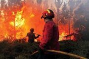 النيران تواصل التهام الغابات الإيطالية والسلطات تجلي سكان المدن القريبة